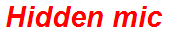 Hidden mic