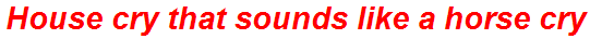House cry that sounds like a horse cry