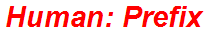 Human: Prefix