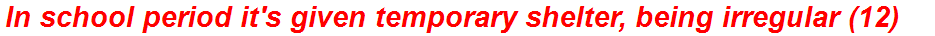 In school period it's given temporary shelter, being irregular (12)