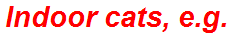 Indoor cats, e.g.