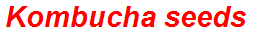 Kombucha seeds