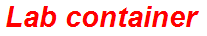 Lab container