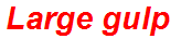 Large gulp