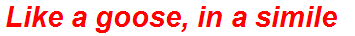 Like a goose, in a simile