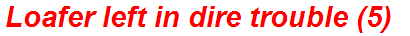 Loafer left in dire trouble (5)