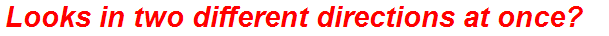 Looks in two different directions at once?