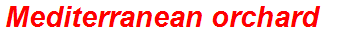Mediterranean orchard
