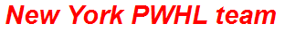 New York PWHL team