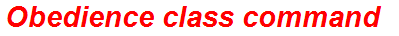 Obedience class command