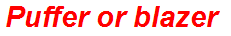 Puffer or blazer