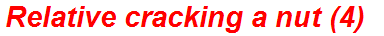 Relative cracking a nut (4)