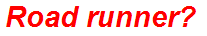 Road runner?