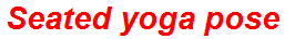 Seated yoga pose