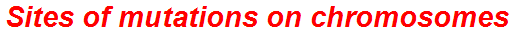 Sites of mutations on chromosomes