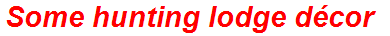 Some hunting lodge décor