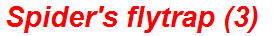 Spider's flytrap (3)