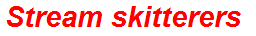 Stream skitterers