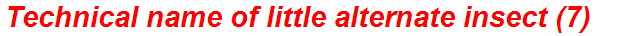 Technical name of little alternate insect (7)