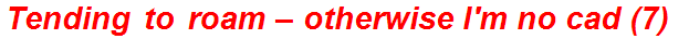 Tending to roam – otherwise I'm no cad (7)