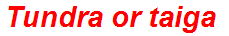 Tundra or taiga