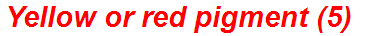 Yellow or red pigment (5)