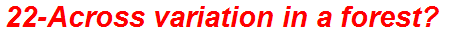 22-Across variation in a forest?