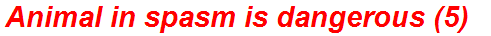 Animal in spasm is dangerous (5)
