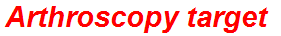 Arthroscopy target