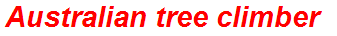 Australian tree climber