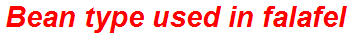 Bean type used in falafel