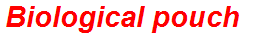 Biological pouch