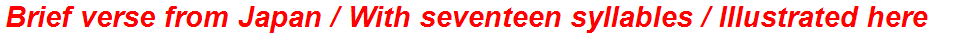 Brief verse from Japan / With seventeen syllables / Illustrated here