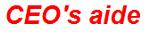 CEO's aide
