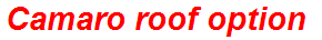 Camaro roof option