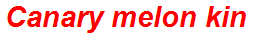 Canary melon kin
