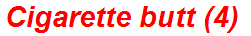Cigarette butt (4)