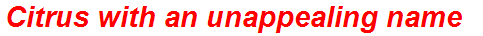 Citrus with an unappealing name