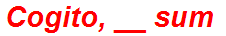 Cogito, __ sum