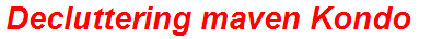 Decluttering maven Kondo