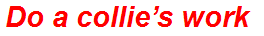 Do a collie’s work
