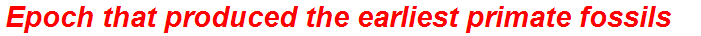 Epoch that produced the earliest primate fossils