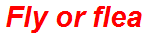 Fly or flea
