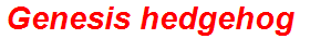 Genesis hedgehog