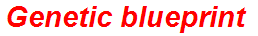 Genetic blueprint
