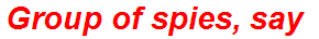 Group of spies, say