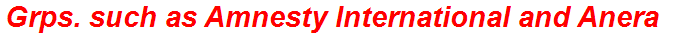 Grps. such as Amnesty International and Anera