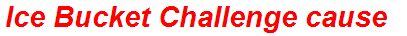 Ice Bucket Challenge cause