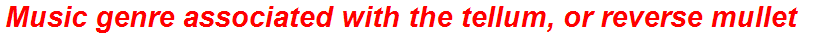 Music genre associated with the tellum, or reverse mullet