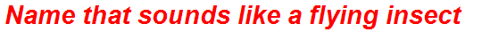 Name that sounds like a flying insect